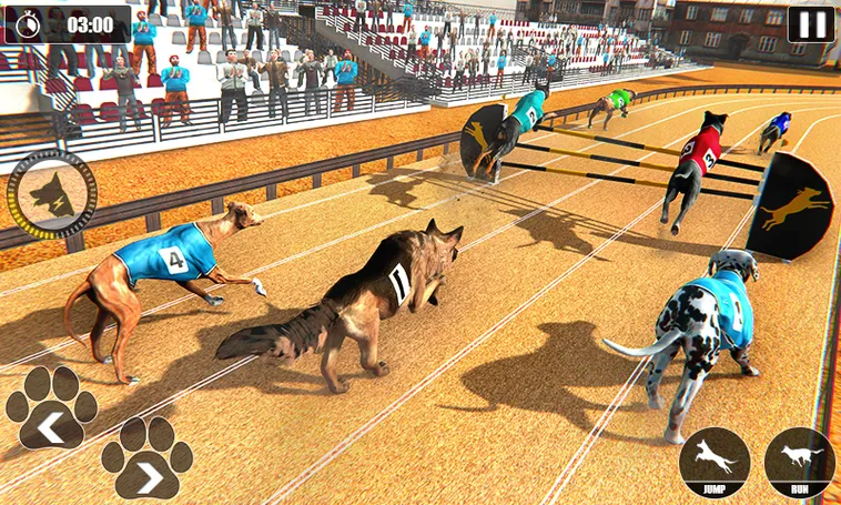 Hướng Dẫn Chơi Game Nhanh Đua Chó Tại SV388 Một Cách Hiệu Quả 2 Hướng Dẫn Chơi Game Nhanh Đua Chó Tại SV388 Một Cách Hiệu Quả