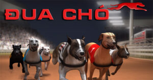 Hướng Dẫn Chơi Game Nhanh Đua Chó Tại SV388 Một Cách Hiệu Quả